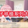 桃子移植系列大全-桃子移植系列大全像素