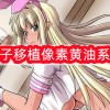桃子移植像素黄油系列-桃子移植像素黄油系列大全