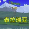 泰拉瑞亚1.4.4.9汉化版下载-泰拉瑞亚正版下载