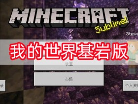 我的世界基岩版-我的世界基岩版正版免费版/国际服/最新版下载安装